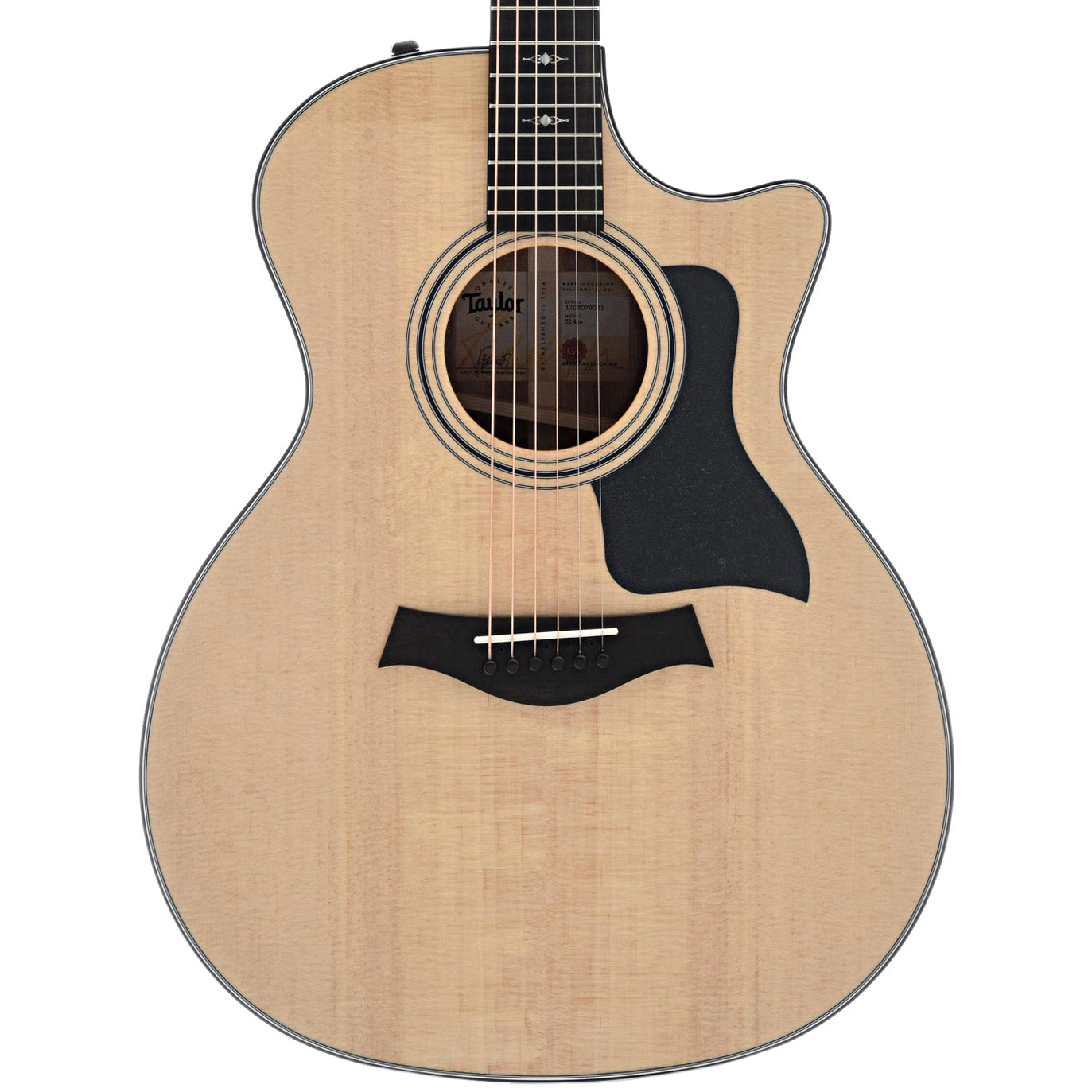 Taylor, Taylor 314ce Acoustic Guitar & Case